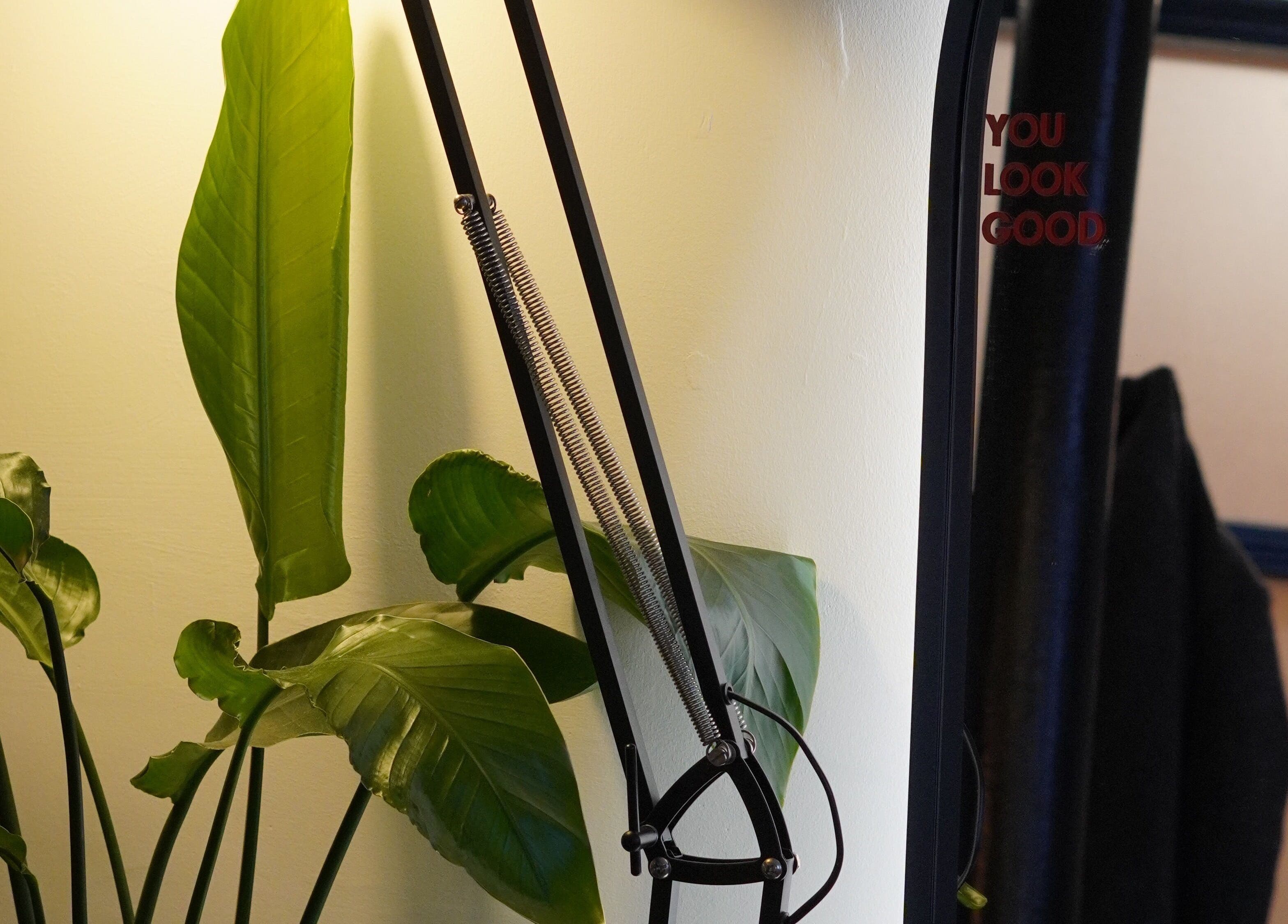 Stylish indoor plant and lamp at Manchester Lashes | Jean Studios in Ancoats Beehive Mill, Manchester, England, GB.