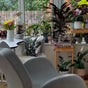 Stephanie’s Beauty Room