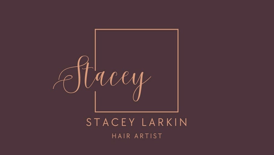 Stacey Larkin Hair Artist 1paveikslėlis