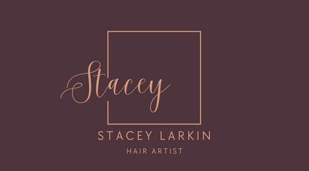 Stacey Larkin Hair Artist