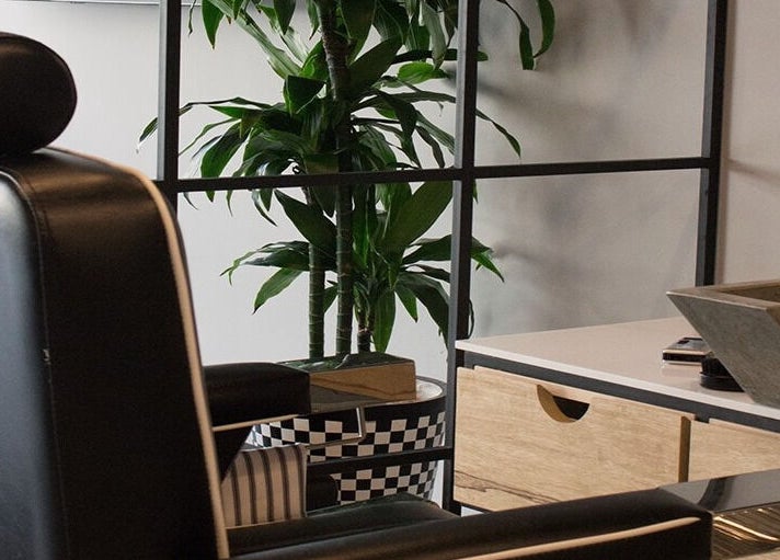 Modern salon chair and lush plant at Yousef Afandi- Rabieh, Amman, Amman Governorate, JO.