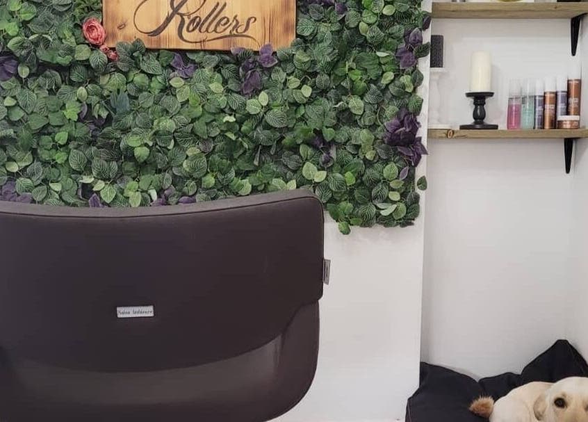 Lush green wall and cozy seating at Rock N Rollers, Cwmfields, Wales, GB.