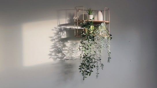 The Radiance Clinic