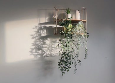 Chic wall decor with plants at The Radiance Clinic, Oldham, England, GB, enhancing tranquility.