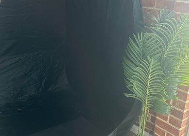 null