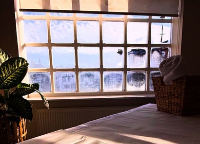 Serene spa room at The Skin Therapist, Skin & Wellness Alvechurch, Alvechurch, England, GB with leafy green plant.