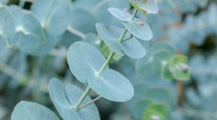 Eucalyptus leaves detail at Makeup & Skin by Gabrielle, Watchung, New Jersey, US, showcasing tranquility and beauty.