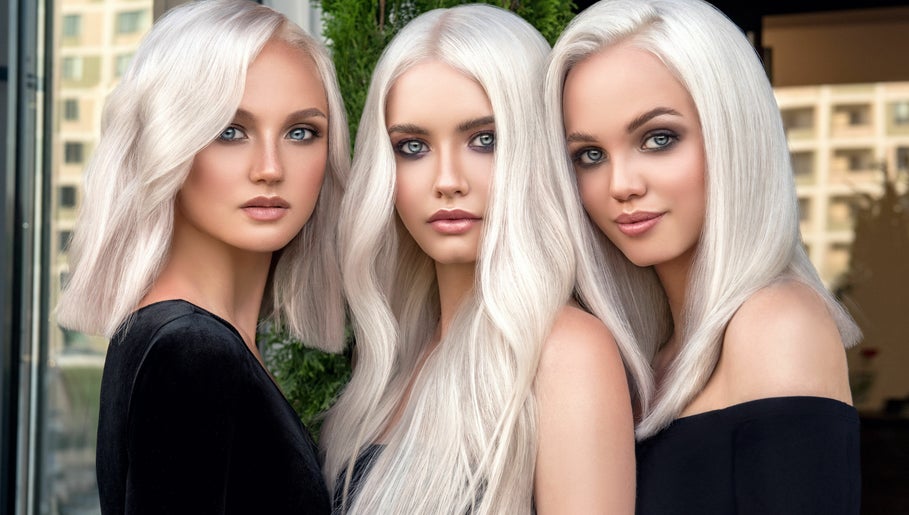 Lisa Willaert | HAIR DESIGN | Color Specialist image 1
