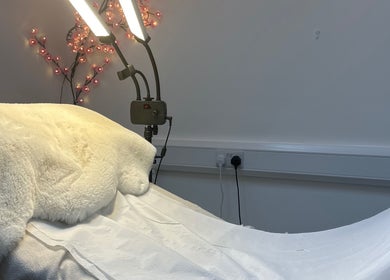 Relaxing treatment area at Velvet Beauty, London, England, GB, featuring plush decor and soft lighting.