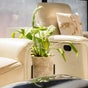Enrich Grooming Lounge 4 Men - Within Enrich By Naseema -22 Nangwenya Road, Lusaka, Lusaka Province