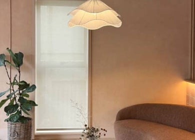 Elegant lounge with plant at House of Terri Brows, Rozelle, New South Wales, AU. Inviting and stylish decor.