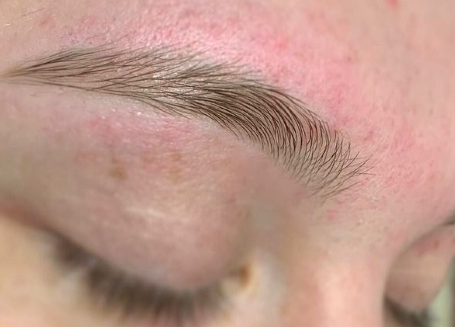 Beautifully groomed eyebrow at No.8 The Nail and Beauty Lounge, Gressenhall, England, GB.