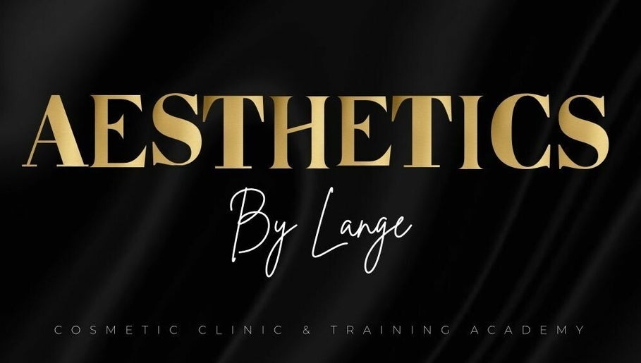 Aesthetics by Lange image 1
