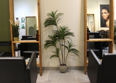 Elegant seating area in Hair Corner Salon, Dubai, Dubai, AE, featuring modern chairs and lush greenery.