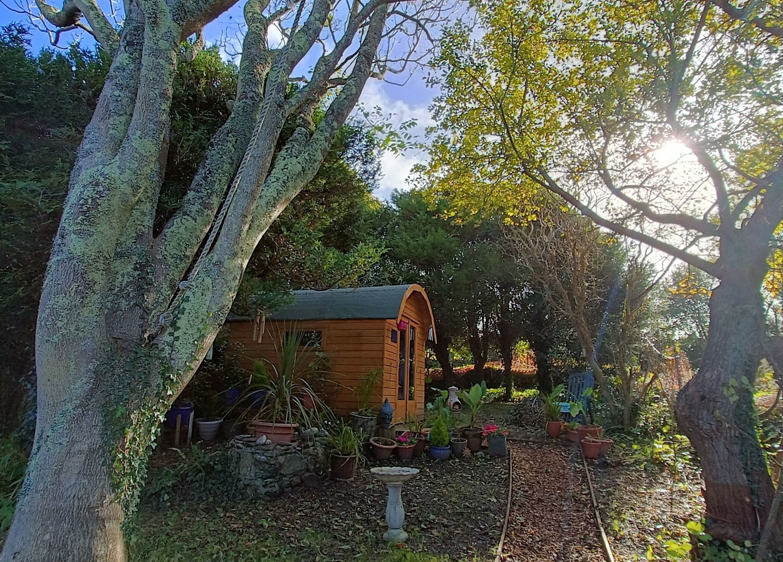 Wooden cabin amid lush trees at Hayle Cornish Holistic Therapies in Hayle, GB.
