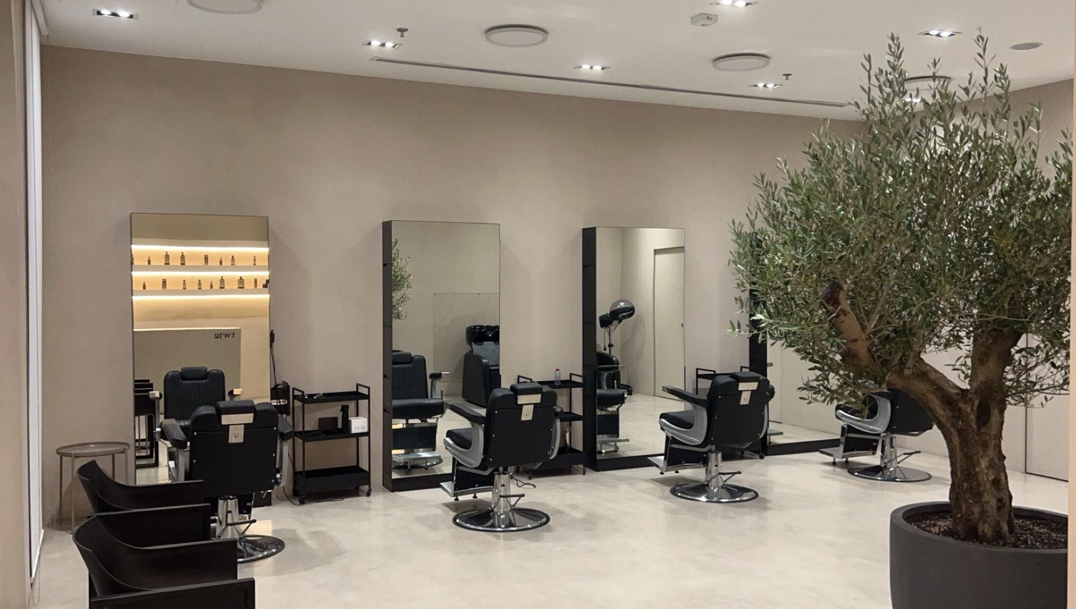 Elegant salon interior at Twig, Sharjah, Sharjah, AE with sleek styling stations and a decorative plant.