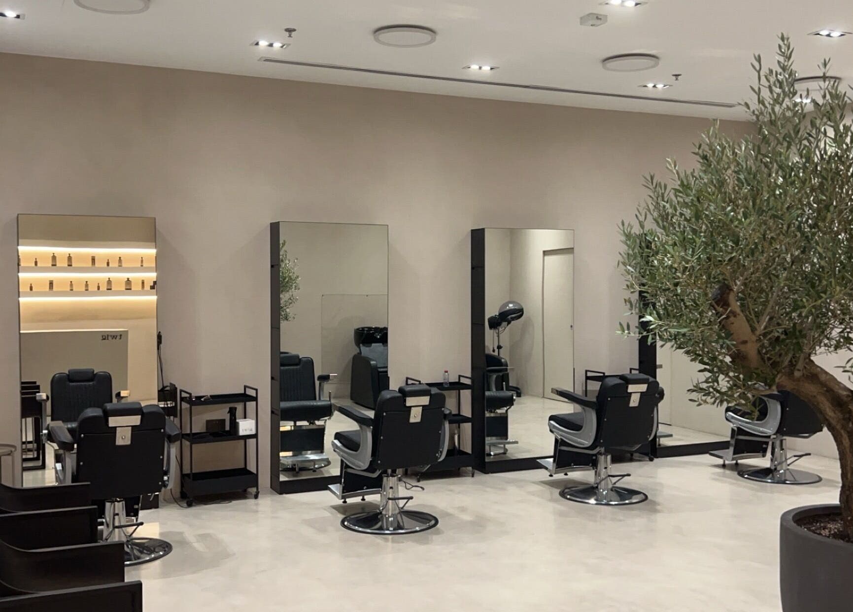 Elegant salon interior at Twig, Sharjah, Sharjah, AE with sleek styling stations and a decorative plant.