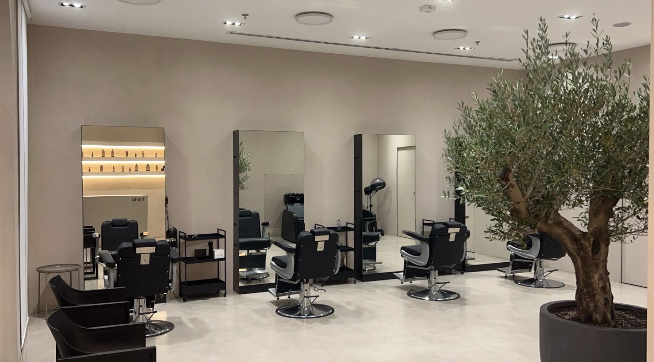 Elegant salon interior at Twig, Sharjah, Sharjah, AE with sleek styling stations and a decorative plant.