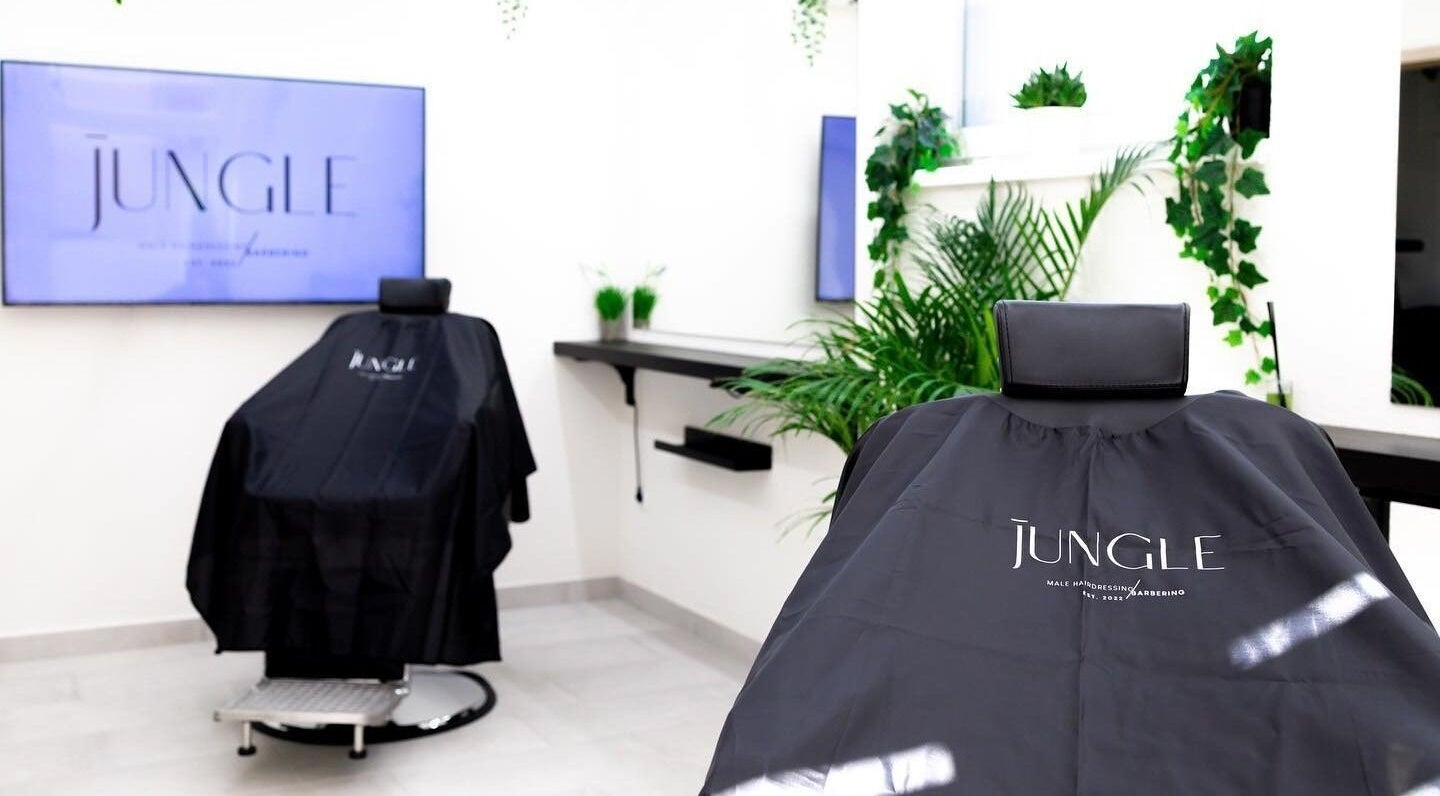 Modern szalon belső tér a Jungle Pécs-ben, elegáns fekete székkel és zöld növényekkel, Pécs, HU.