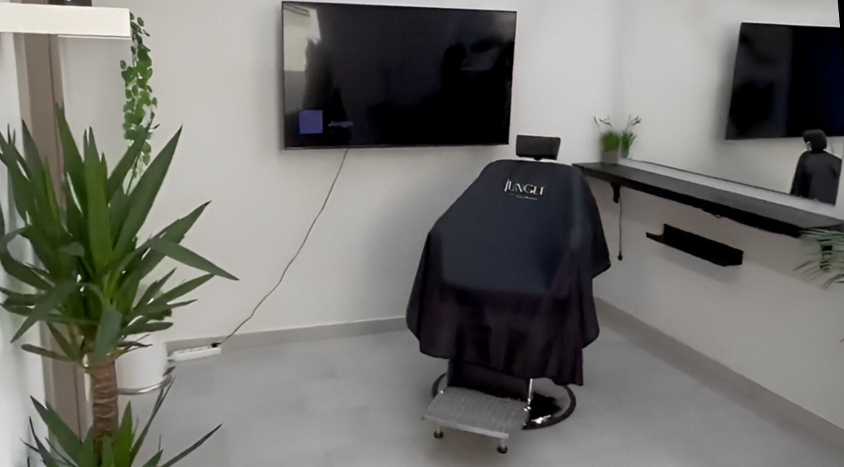 Jungle Pécs szalon belső tere Pécs, HU, modern bőrápoló szék és dekoratív növények.