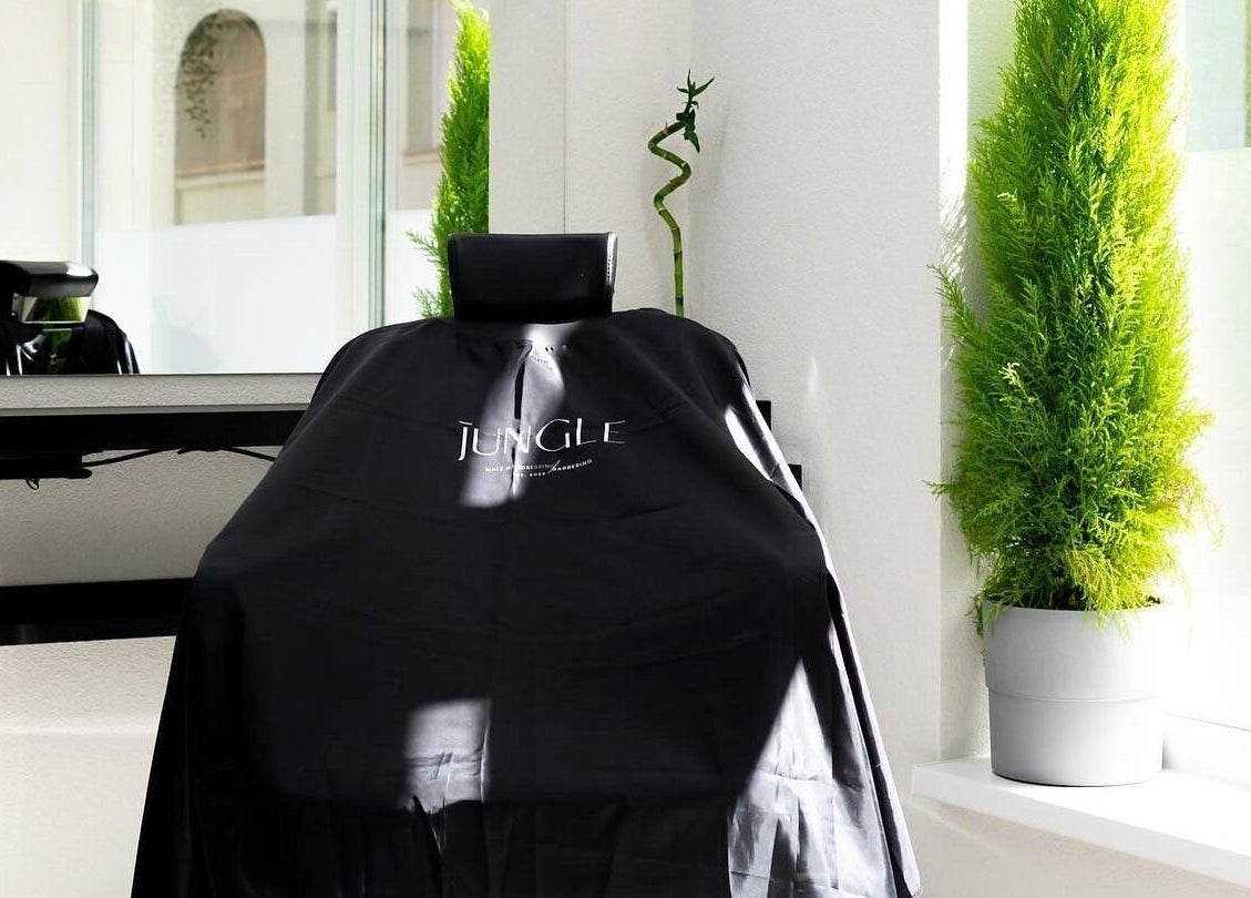 Modern fodrászszék növényekkel körülvéve a Jungle Pécs-ben, Pécs, HU.