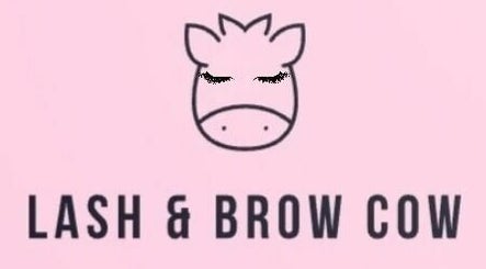 Lash and Brow Cow