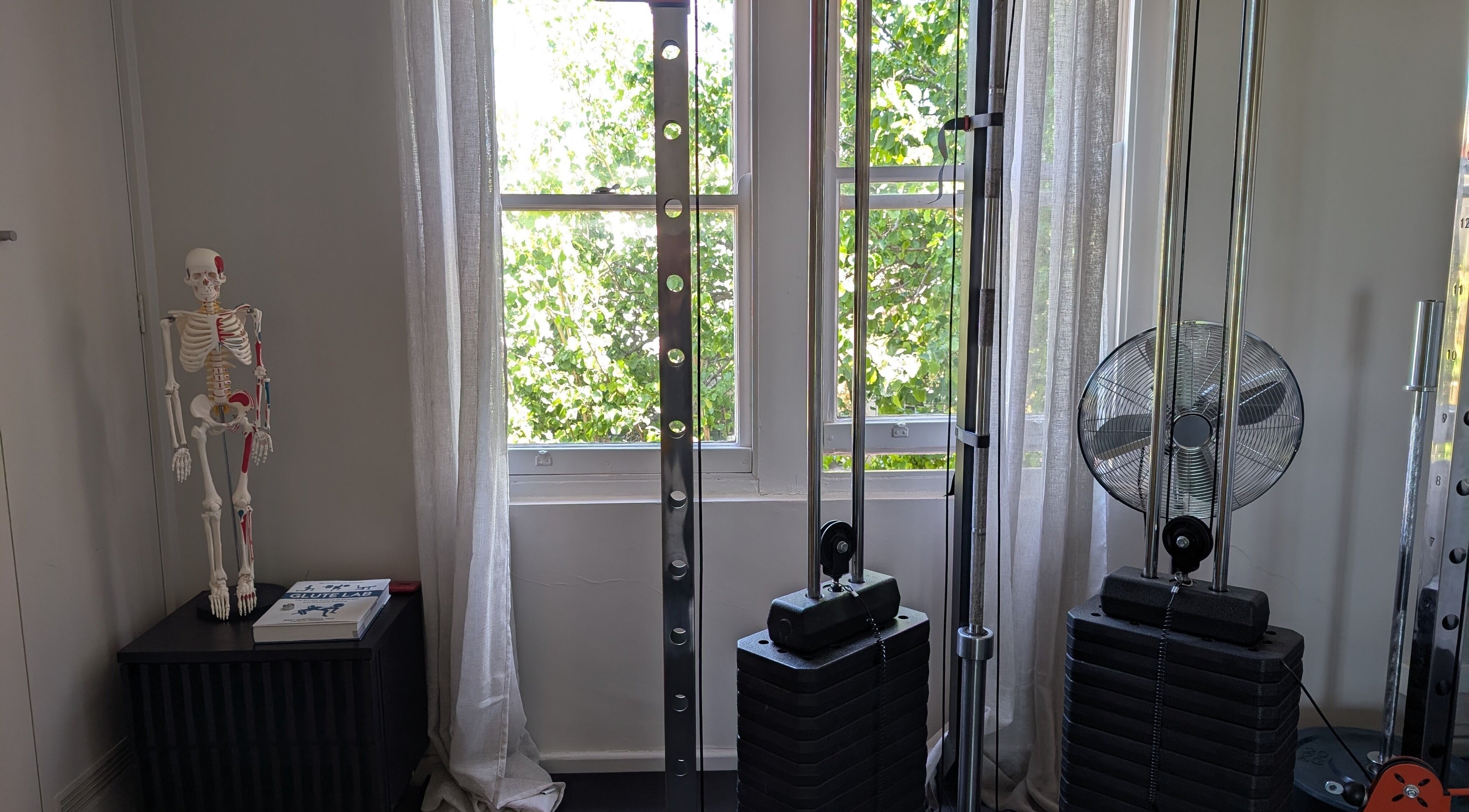 YourPT @ BestU Body Lab, Melbourne, Victoria, AU: fitness equipment and anatomical model in bright room.