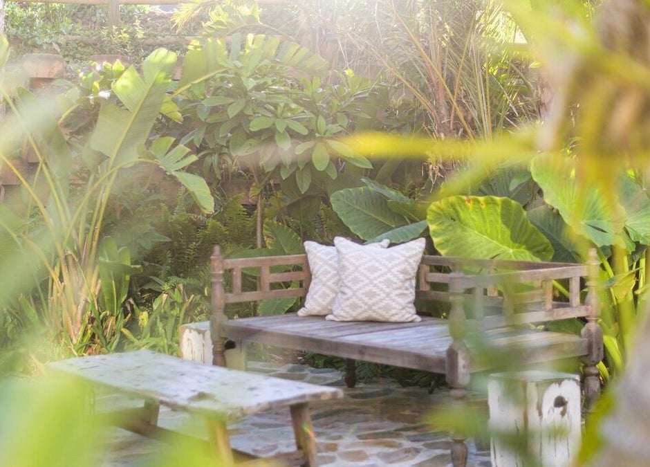 Peaceful garden bench surrounded by lush greenery at Sala Beach Spa, Dolphin Coast, KwaZulu-Natal, ZA.