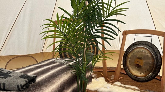 Relaxing space at The Soul's Whisper - Massage, Reiki & Sound Healing, Gloucester, England, GB with gong and plants.