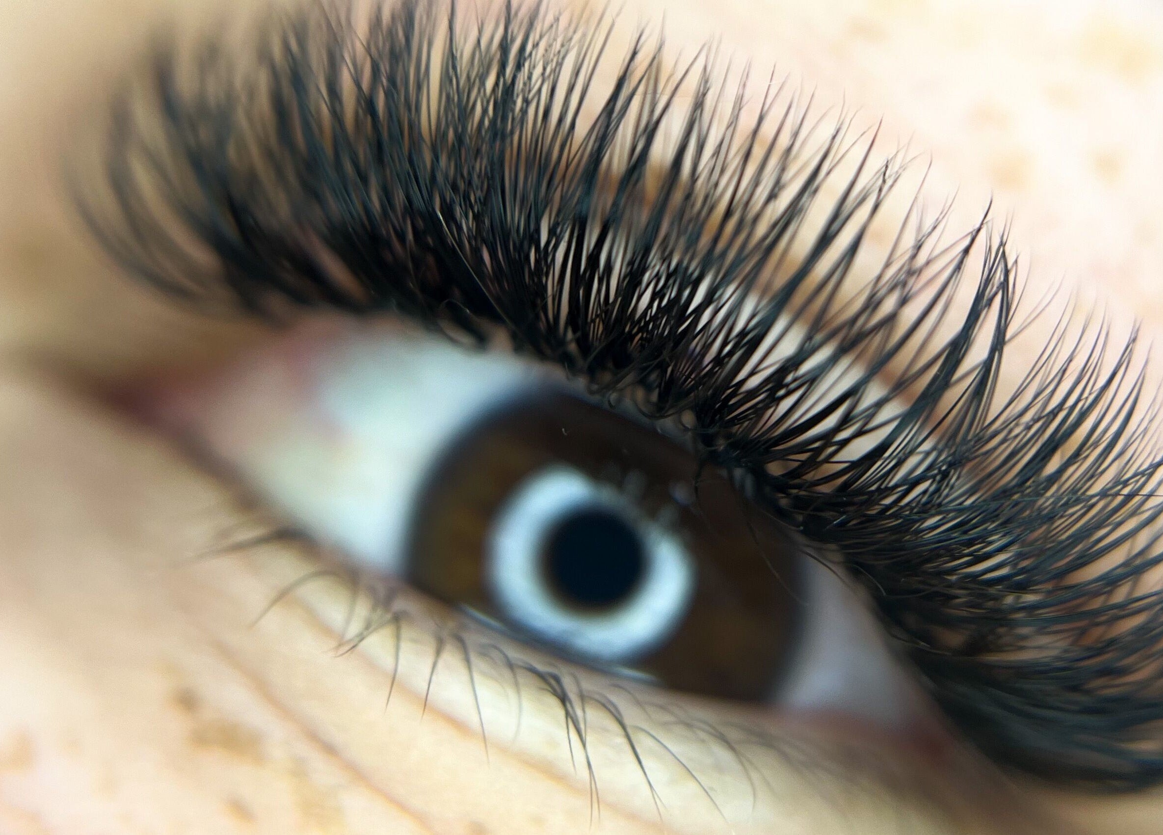 Close-up of beautifully enhanced eyelashes at Blink'n Beauti, Cape Town, Western Cape, ZA.