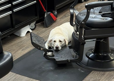A dog relaxes by a barber chair at Barber’s Choice Studio in Oakdale, Minnesota, US, creating a welcoming vibe.