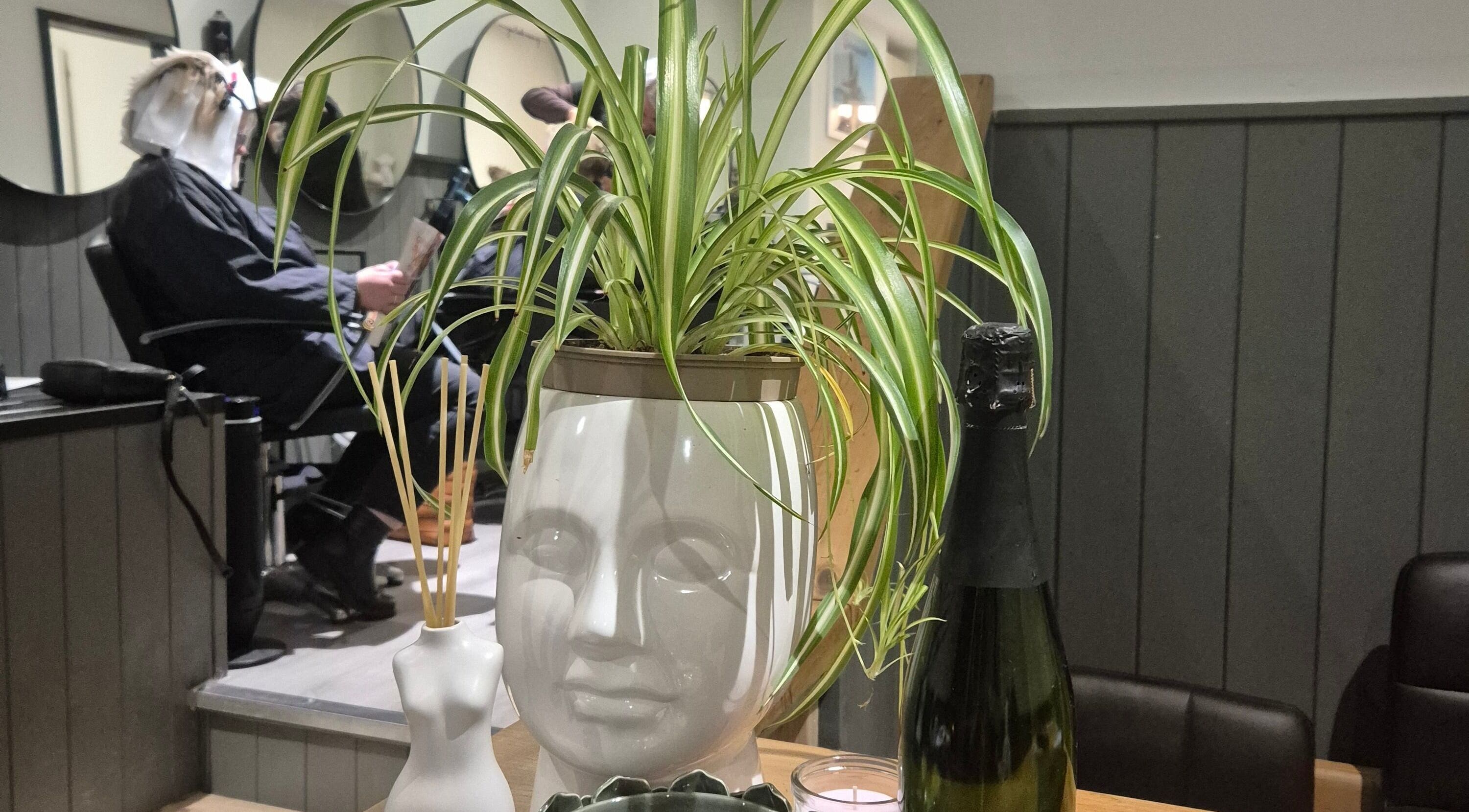 Inside Salon De Lyla, Ludgershall, England, GB. A plant decorates an elegant styling station.