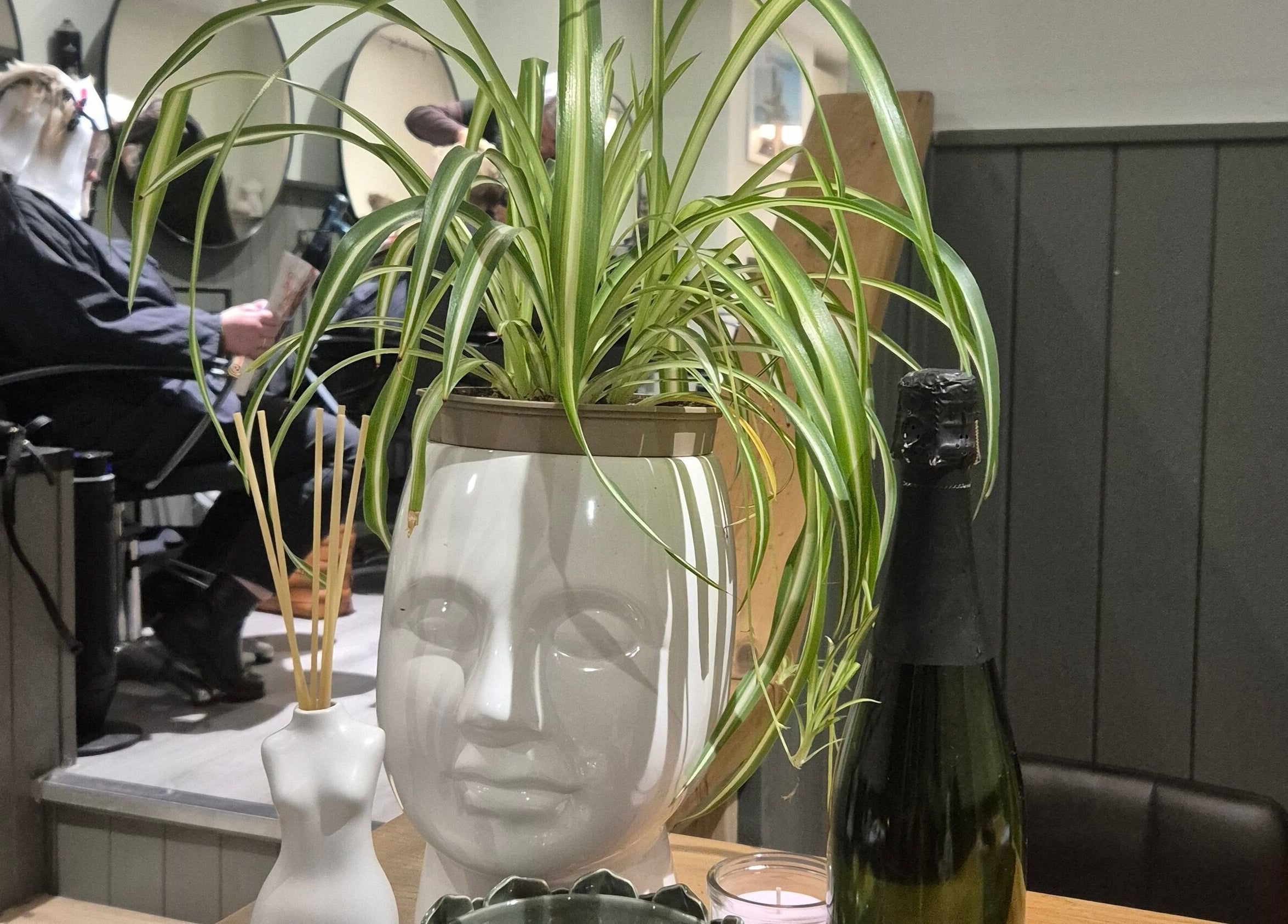 Indoor decor at Salon De Lyla, Ludgershall, England, GB with plant, diffuser, and mirror reflections.