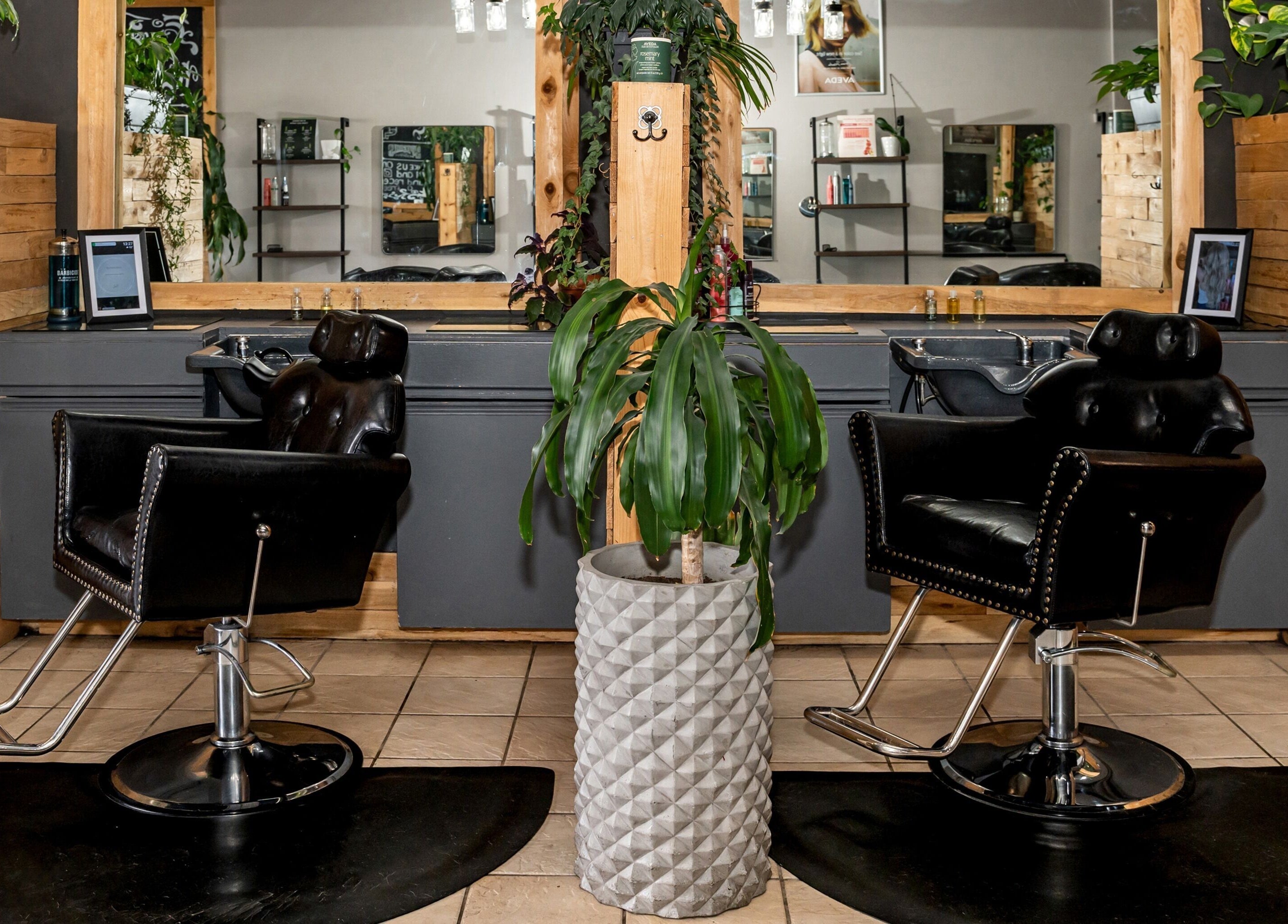 Elegant salon chairs and greenery at Obsessed Salon, Aurora, Colorado, US, create a welcoming atmosphere.