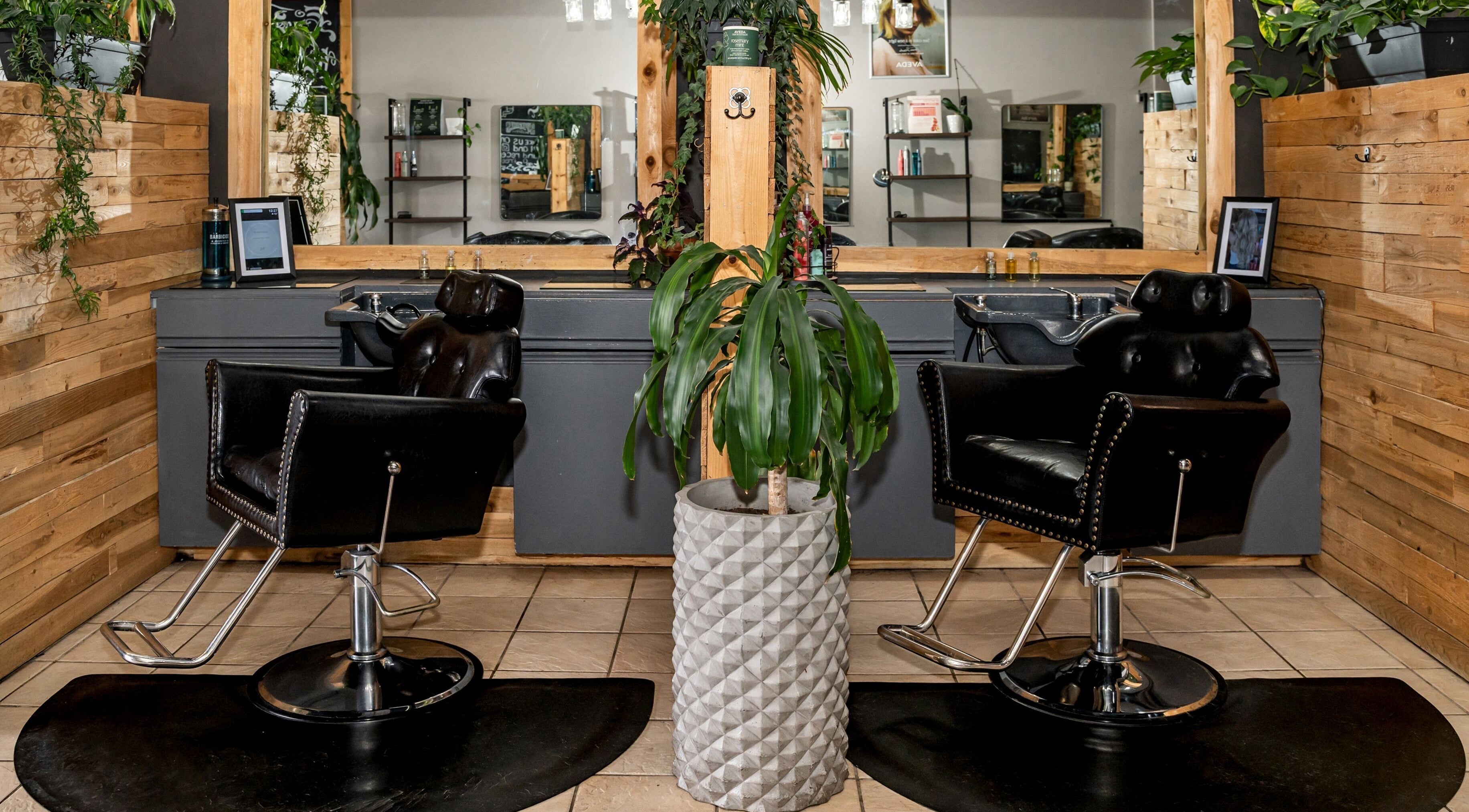 Elegant salon chairs and greenery at Obsessed Salon, Aurora, Colorado, US, create a welcoming atmosphere.