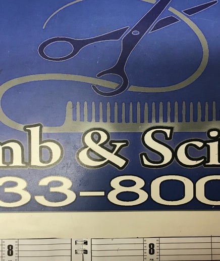 Comb and Scissor image 2