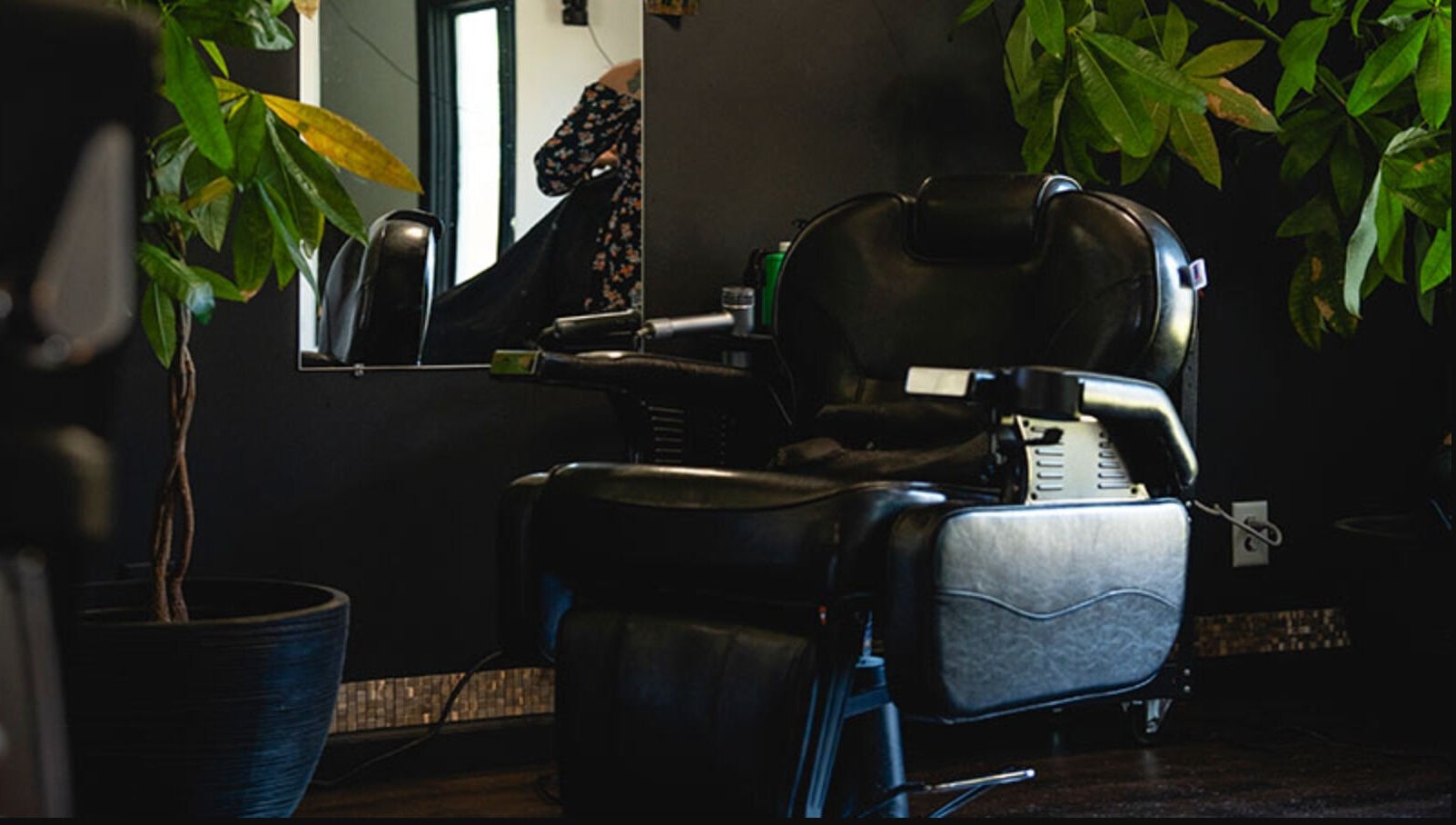 Luxurious salon chair at The Local Shoppe in Charleston, South Carolina, US surrounded by lush plants.