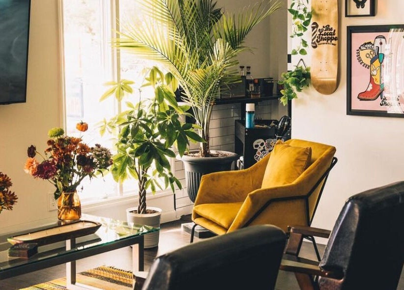 Inviting greenery and cozy seating at The Local Shoppe, Charleston, South Carolina, US, enhance relaxation.