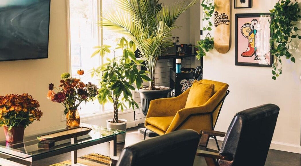 Inviting greenery and cozy seating at The Local Shoppe, Charleston, South Carolina, US, enhance relaxation.