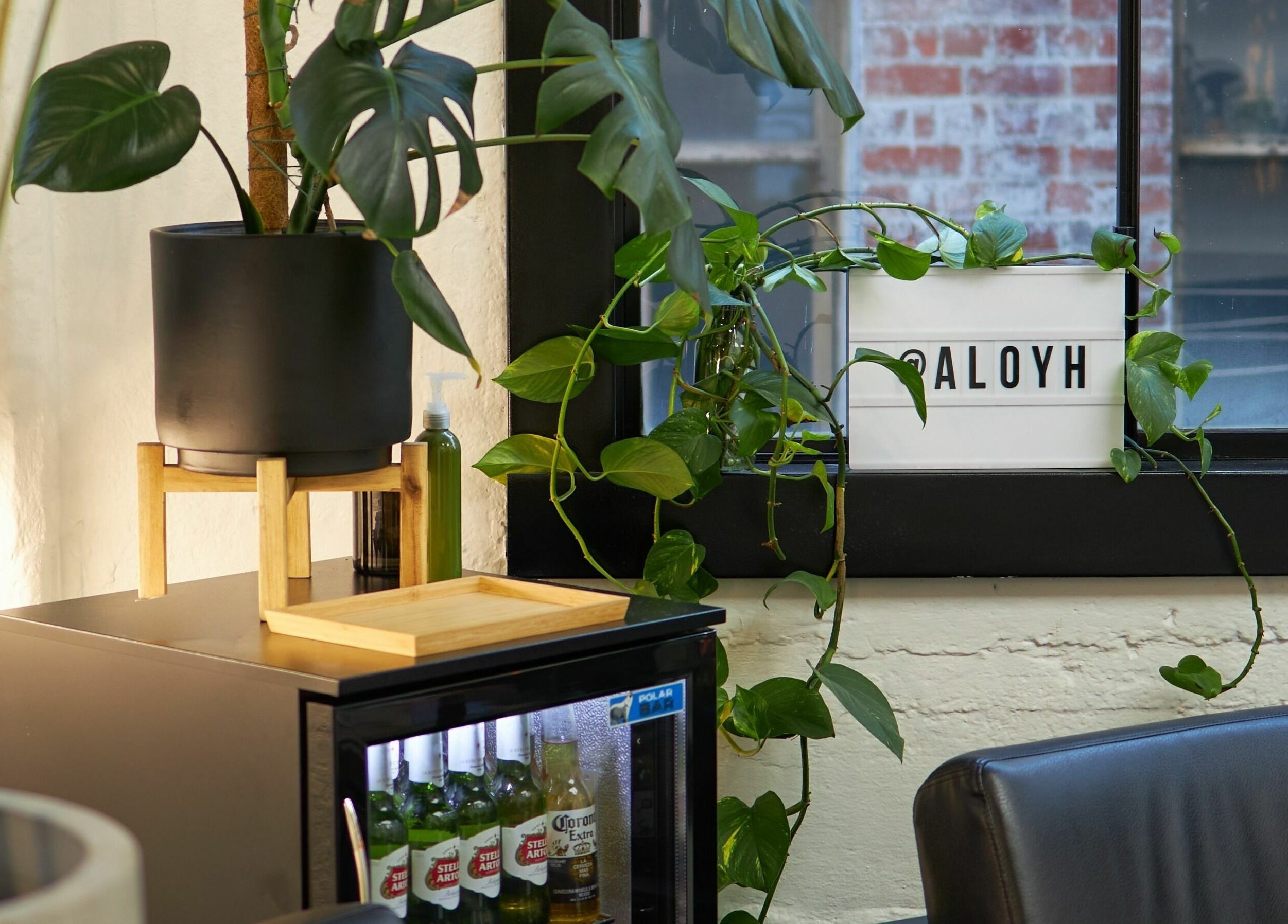 Relaxing plant corner at Aloyh Studio, East Melbourne, Victoria, AU. Cozy and inviting vibe.