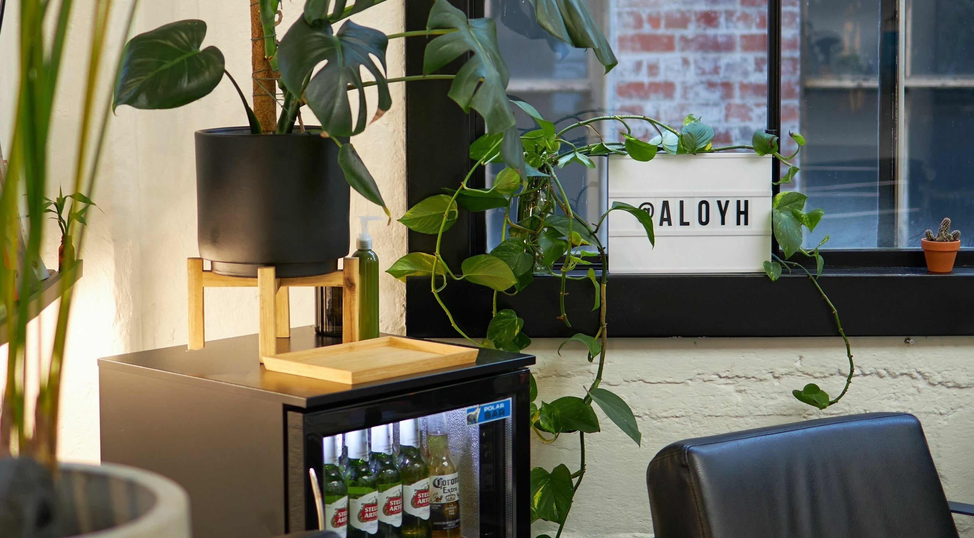 Relaxing plant corner at Aloyh Studio, East Melbourne, Victoria, AU. Cozy and inviting vibe.