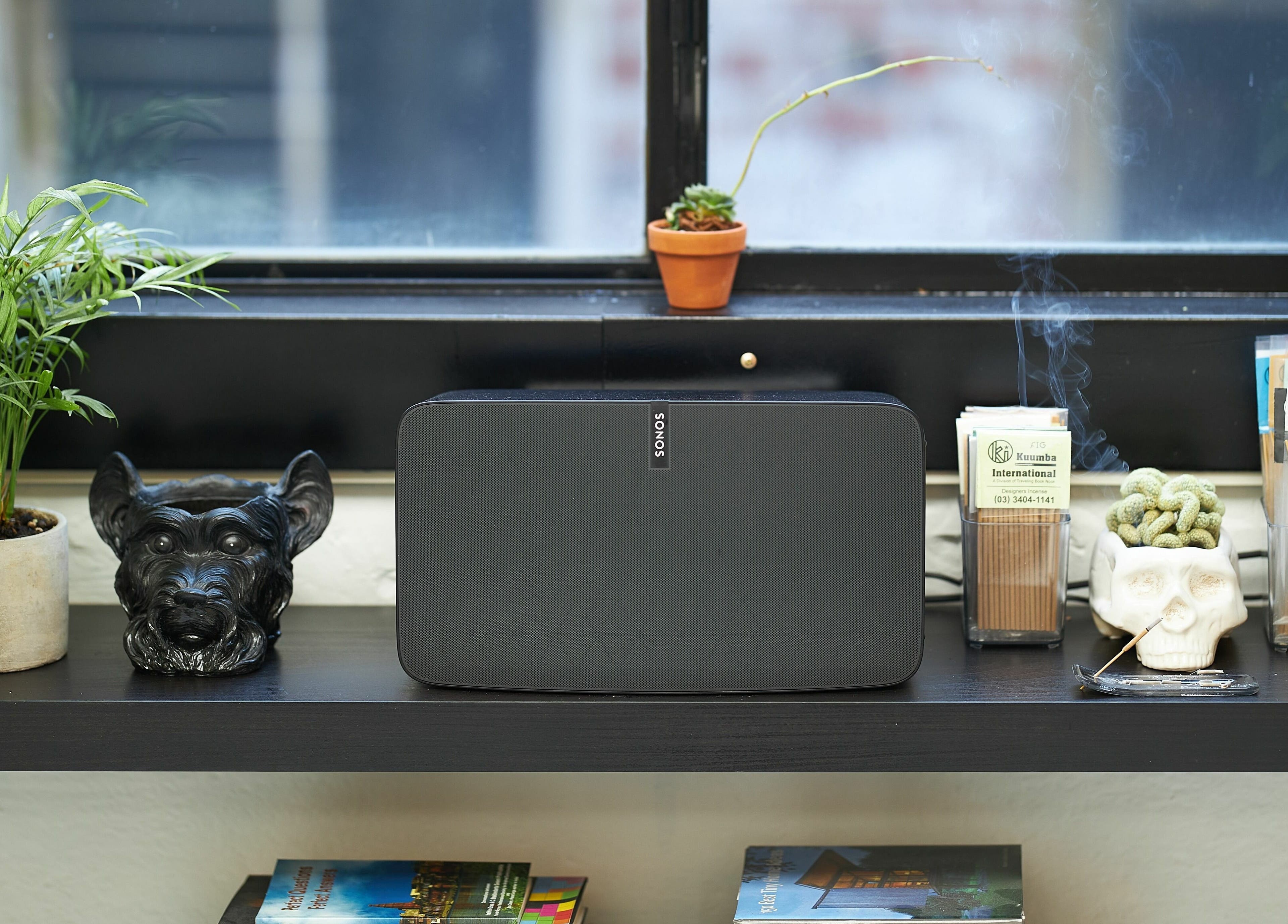 Aloyh Studio ambience with decor items and plants on a shelf, East Melbourne, Victoria, AU.