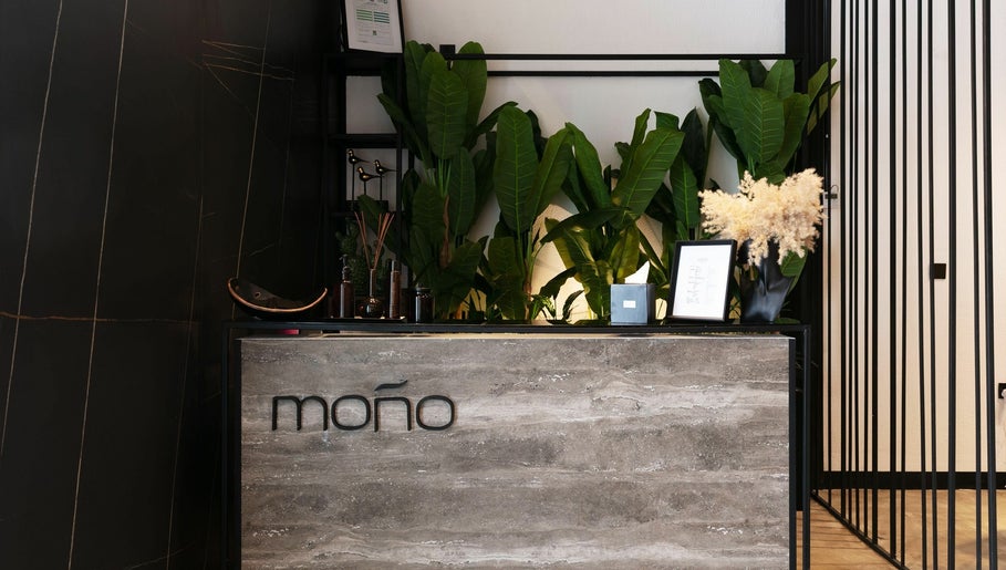 Mono Hair Spa imagem 1