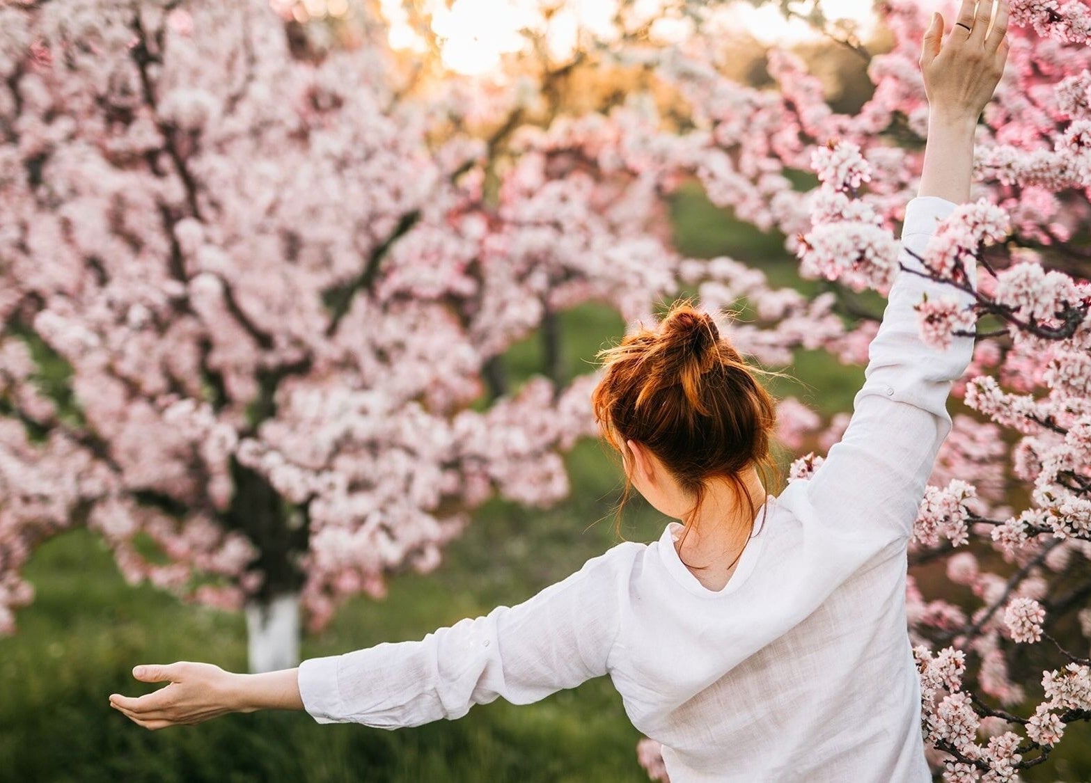 Woman enjoying cherry blossoms at Vixi Wellbeing Hub, Darlington, England, GB.