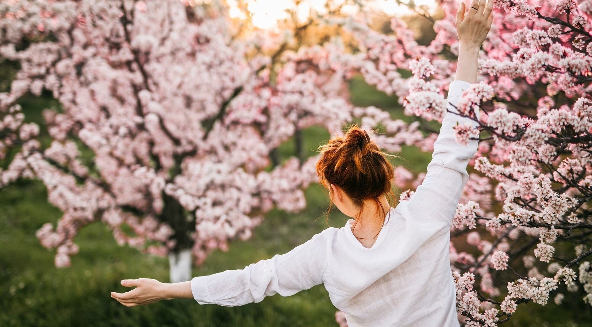Woman enjoying cherry blossoms at Vixi Wellbeing Hub, Darlington, England, GB.