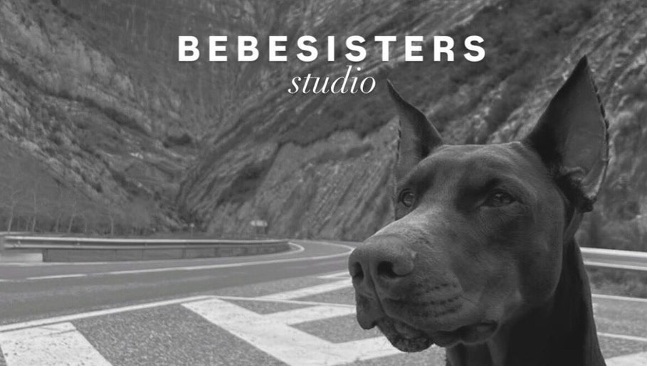 Bebe Sisters Studio Lviv - Грушевського 17 image 1