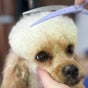 Aloha K9 Swansea - 78 Pacific Highway, 2, Swansea, New South Wales