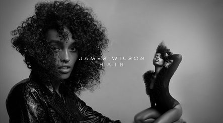 James Wilson Hair - Halo
