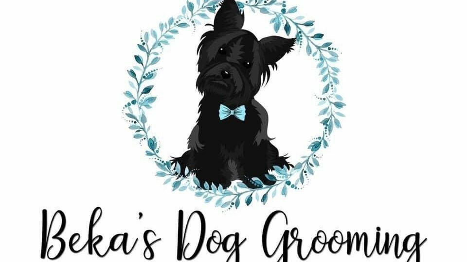 Beka s Dog Grooming Boutique Gillingham UK Greenfinches