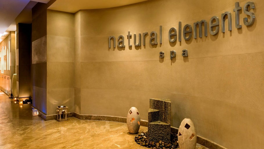 Natural Element Namm Spa imagem 1